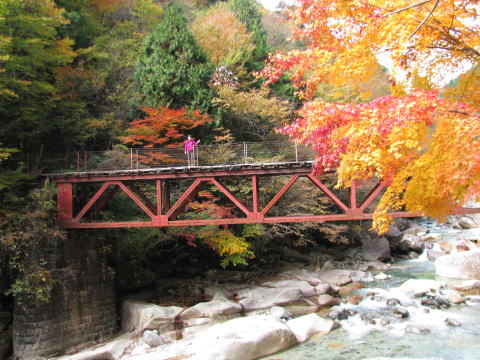 阿寺森林鉄道