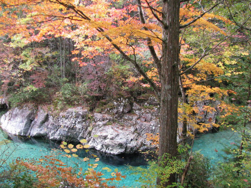 阿寺渓谷・狐ケ淵・狸ケ淵