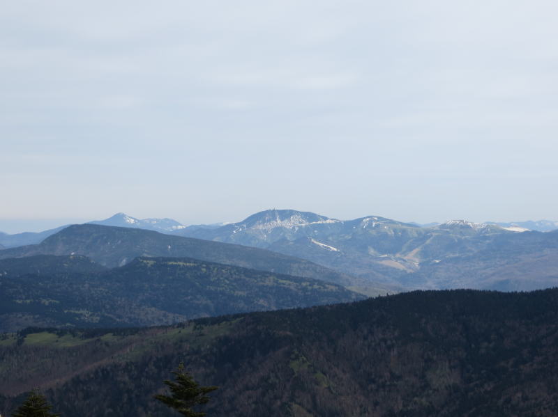 根子岳頂上から見た横手山