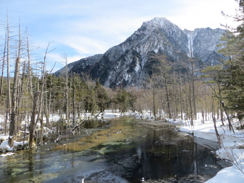 岳沢湿原