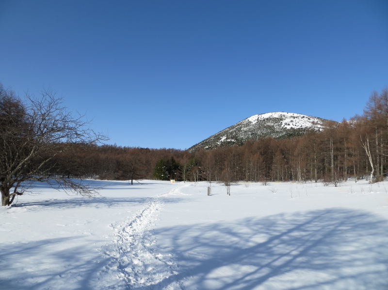 湯ノ丸山と臼窪湿原