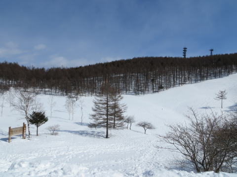 入笠湿原