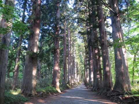 戸隠神社奥社参道杉並木