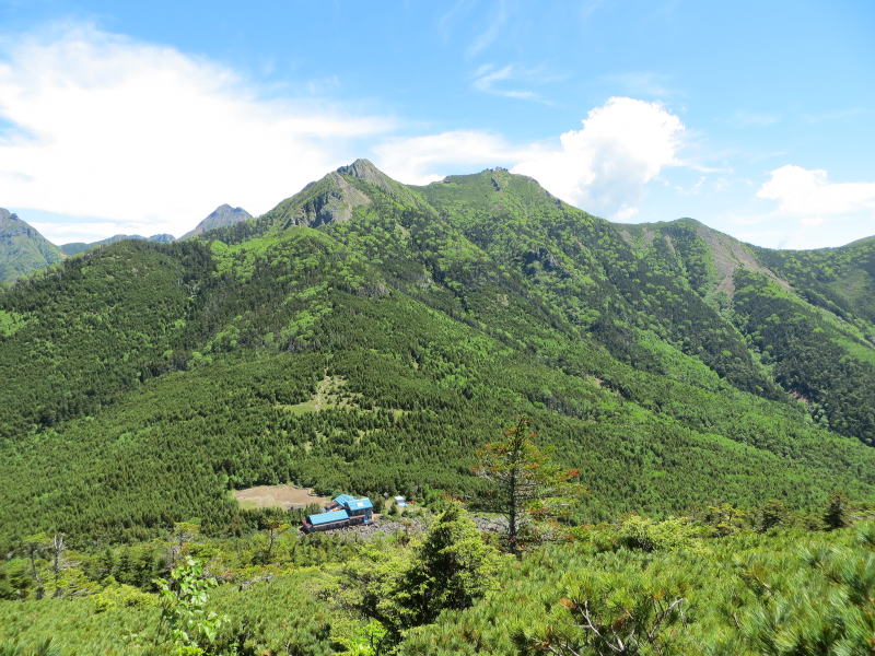 青年小屋とギボシ～権現岳