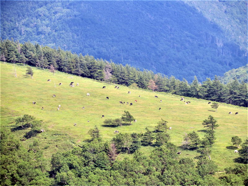 美ヶ原焼山