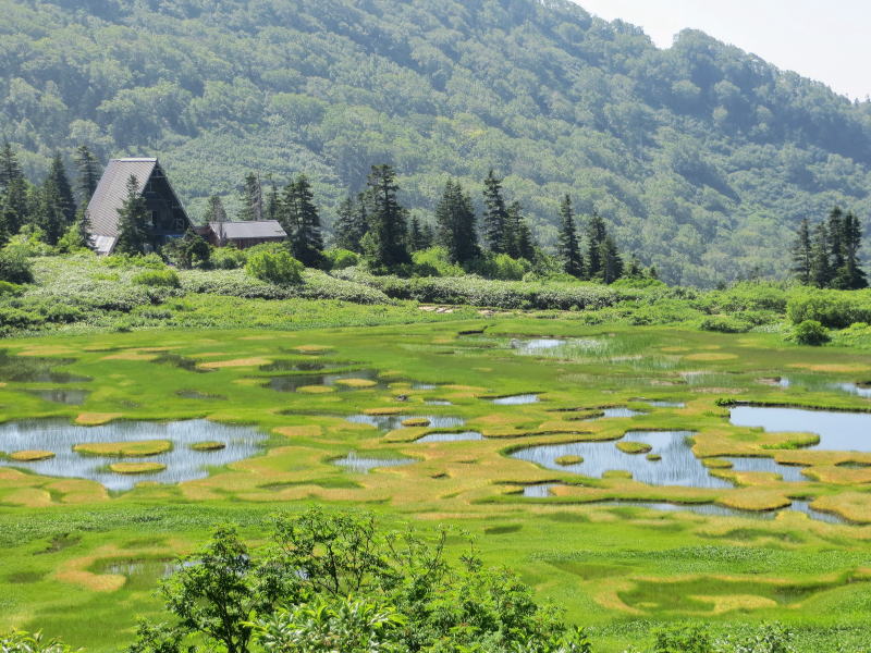 高谷池