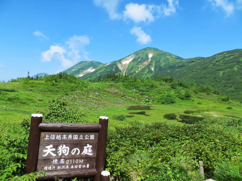 火打山・天狗の庭