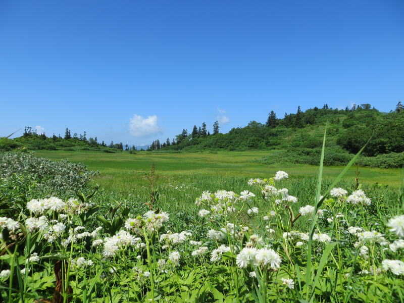 高谷池