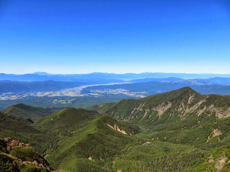 峰の松目