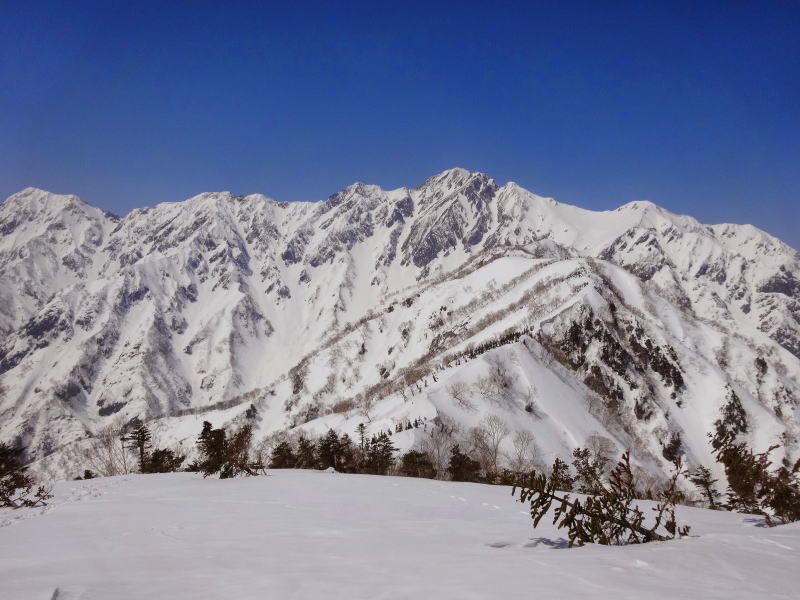 五龍岳に向かう遠見尾根