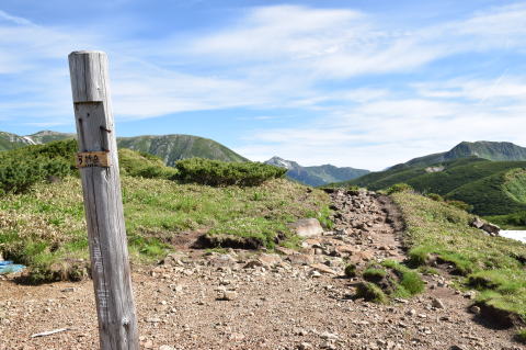 弓折岳山頂