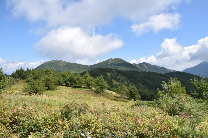 雲上の丘