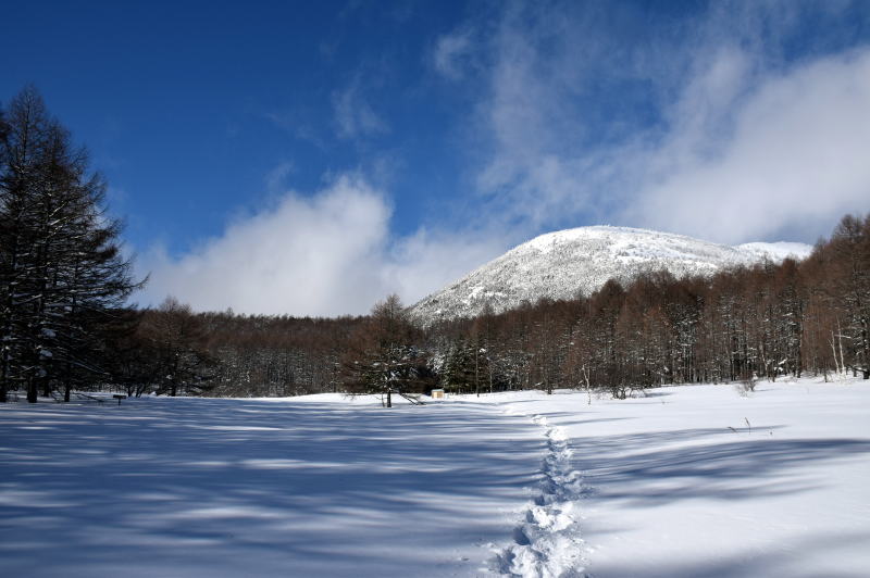 湯ノ丸山、臼窪湿原から