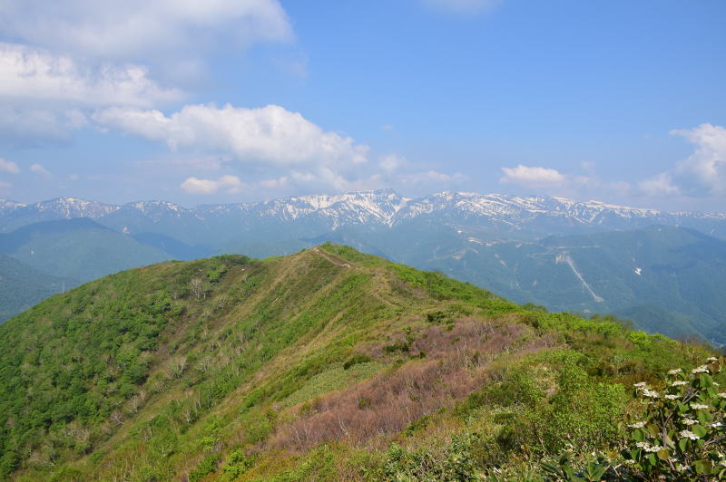 松出山