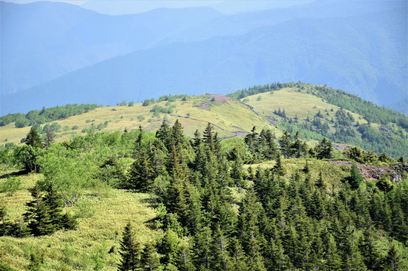 小根子岳北肩