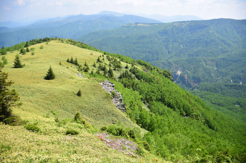 小根子岳北肩