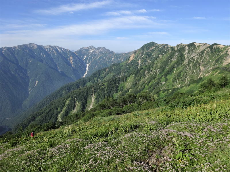 種池山荘から見る蓮華岳～針ノ木岳