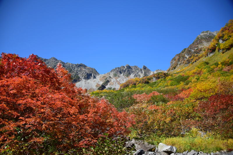 涸沢岳・涸沢槍