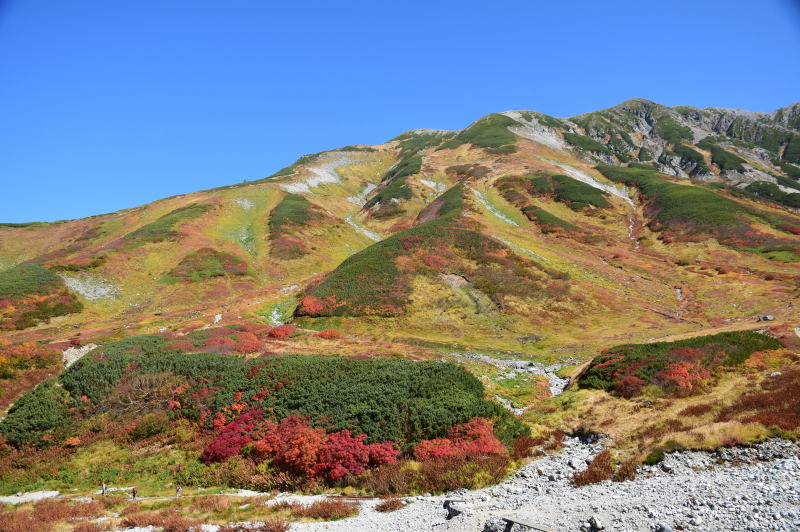 雷鳥坂