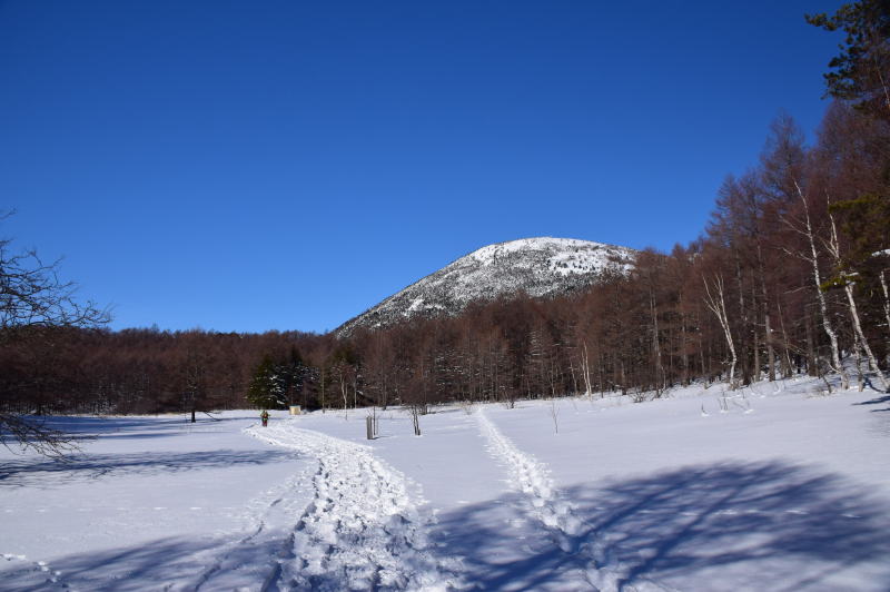 湯ノ丸山・臼窪湿原