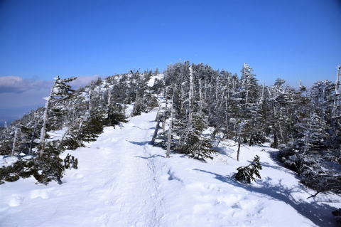 北横岳北峰