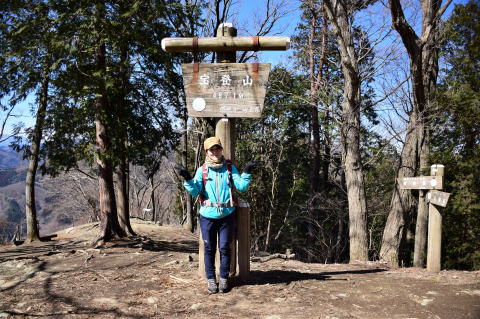 宝登山