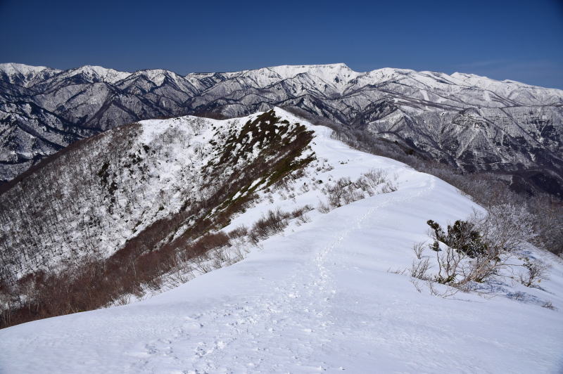 苗場山