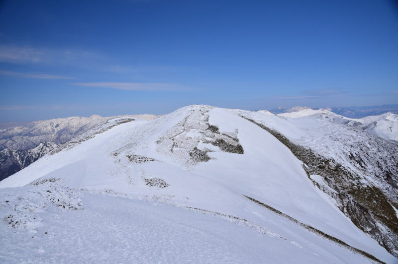 仙ノ倉山