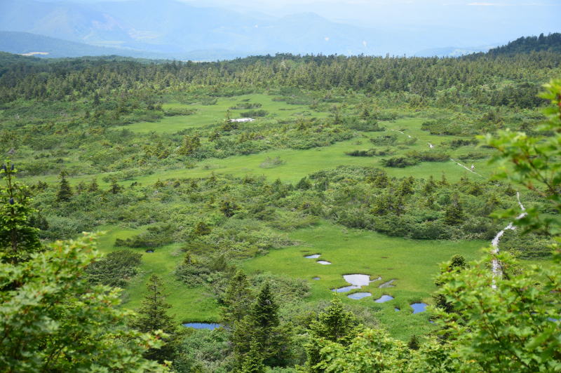 毛無岱湿原（下毛無岱）