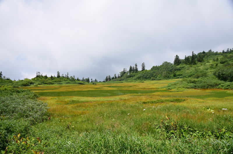 高谷池