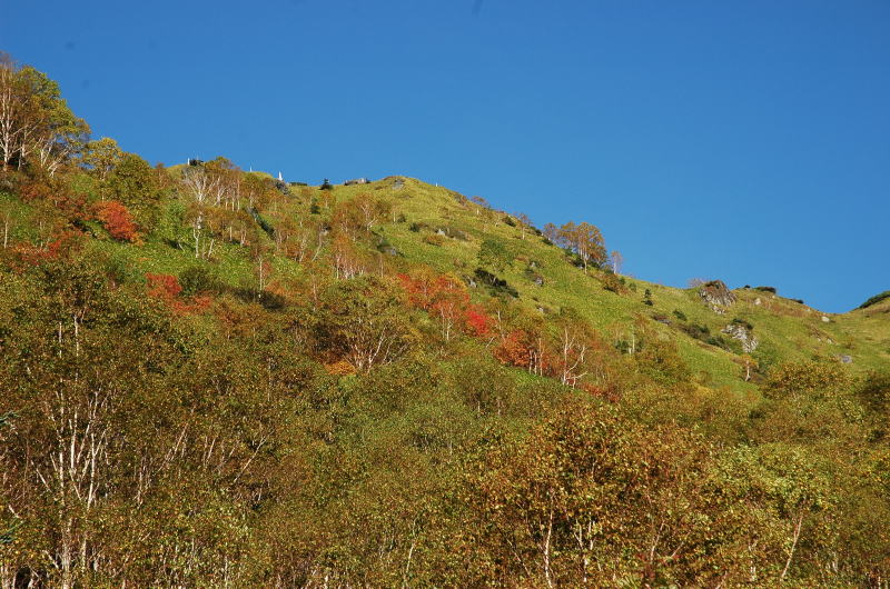 焼岳南峰の南西側稜線