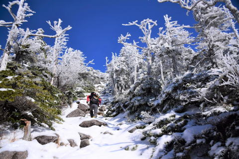 蓼科山